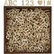 Bright Creations Wooden Numbers for Crafts & Alphabet Letters Display Box Kit - 6.8 x 6.8 x 0.9 In - 9 Sets A-Z, 3 Sets 0-9 & 2 Symbol Cutouts - Poplar Wood Craft Letters for Shadow Box